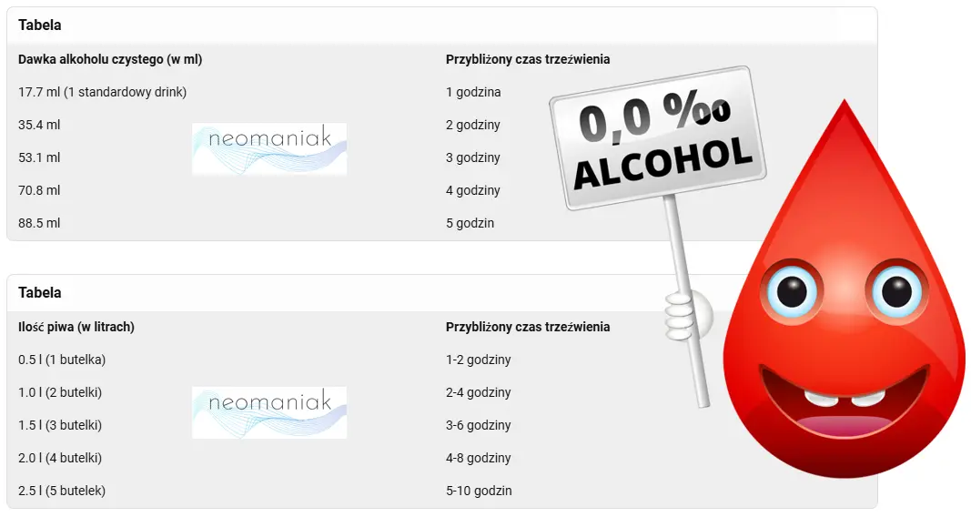 5 piw ile godzin? Prawda o trzeźwieniu i bezpiecznej jeździe