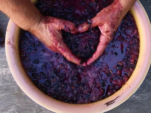 Domowe wino z winogron: Przepis krok po kroku dla początkujących