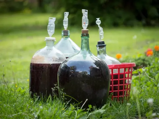 Fermentujące wino: Czy jest bezpieczne? Kiedy pić domowy trunek?
