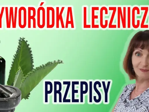 Jak zrobić nalewkę z żyworódki? Kompletny przewodnik krok po kroku