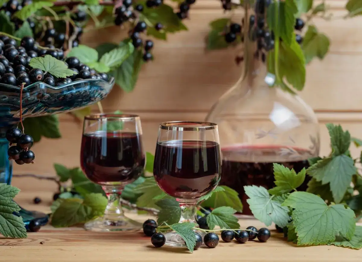 Dwa kieliszki z ciemnym, aromatycznym cassis likierem, otoczone świeżymi porzeczkami i liśćmi. Obok karafka z tym samym trunkiem.